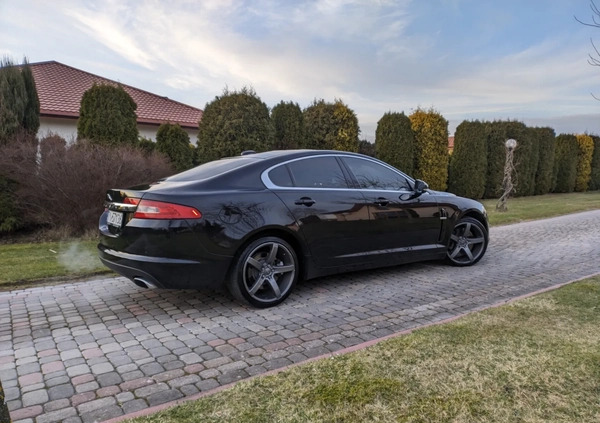 Jaguar XF cena 33900 przebieg: 260000, rok produkcji 2010 z Końskie małe 407